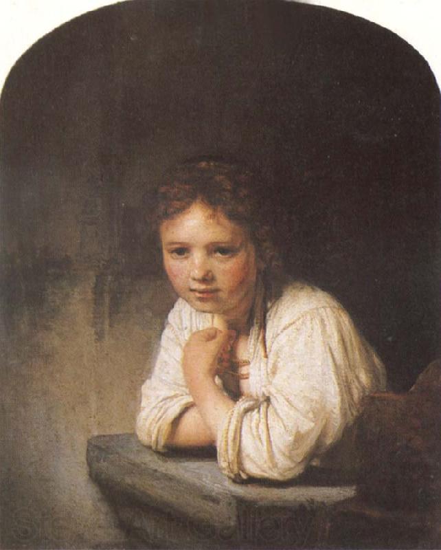 REMBRANDT Harmenszoon van Rijn A Young Girl Leaning on a Window Sill Spain oil painting art